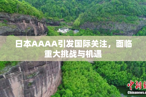 日本AAAA引发国际关注，面临重大挑战与机遇