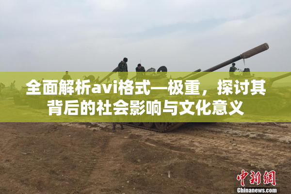 全面解析avi格式―极重，探讨其背后的社会影响与文化意义