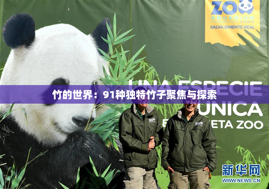 竹的世界：91种独特竹子聚焦与探索