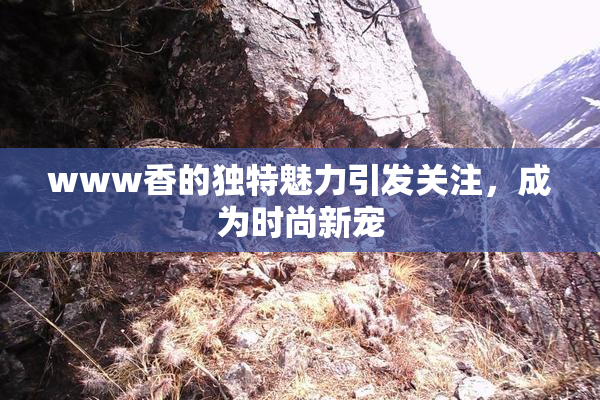 www香的独特魅力引发关注，成为时尚新宠