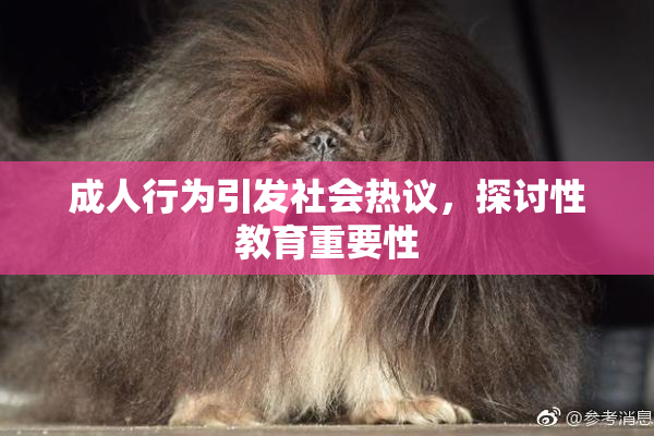 成人行为引发社会热议，探讨性教育重要性