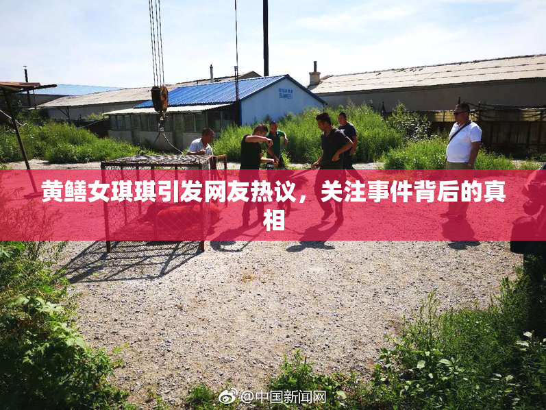 黄鳝女琪琪引发网友热议，关注事件背后的真相