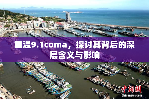 重温9.1coma，探讨其背后的深层含义与影响