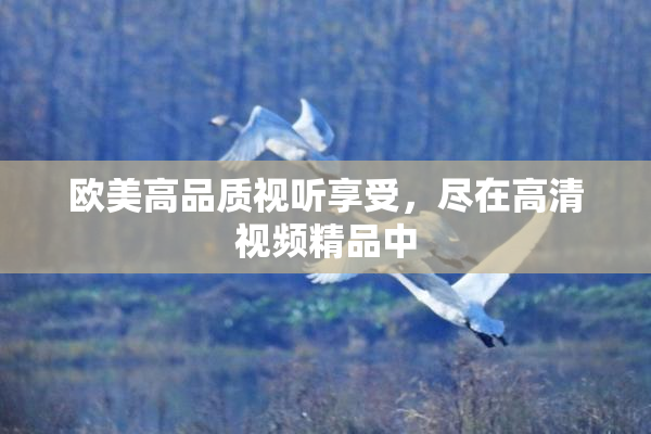 欧美高品质视听享受，尽在高清视频精品中
