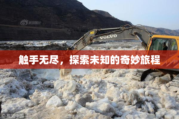 触手无尽，探索未知的奇妙旅程