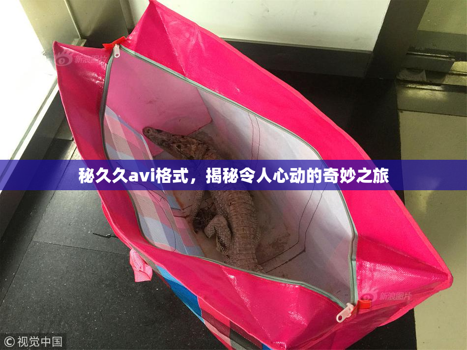 秘久久avi格式，揭秘令人心动的奇妙之旅