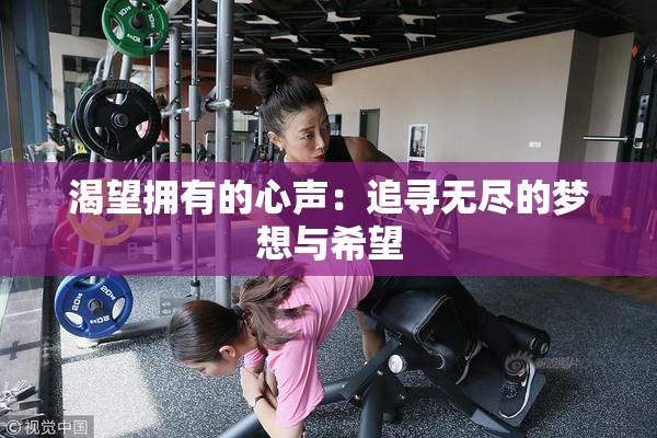 渴望拥有的心声：追寻无尽的梦想与希望