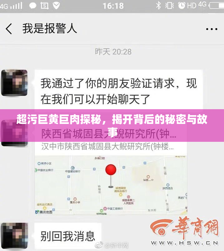 超污巨黄巨肉探秘，揭开背后的秘密与故事