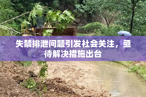 失禁排泄问题引发社会关注，亟待解决措施出台