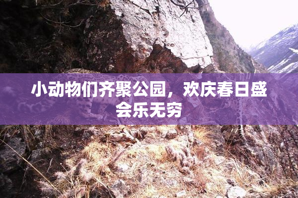 小动物们齐聚公园，欢庆春日盛会乐无穷