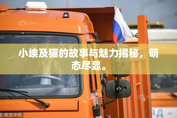 小埃及猫的故事与魅力揭秘，萌态尽显。