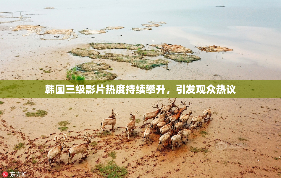 韩国三级影片热度持续攀升，引发观众热议