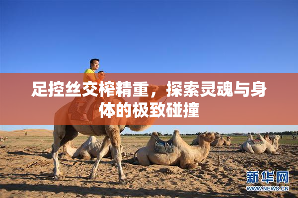 足控丝交榨精重，探索灵魂与身体的极致碰撞