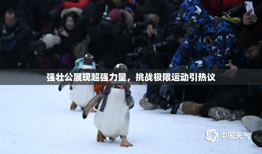强壮公展现超强力量，挑战极限运动引热议