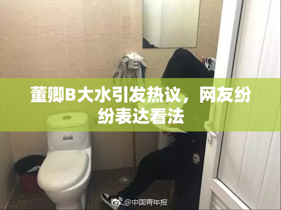 董卿B大水引发热议，网友纷纷表达看法