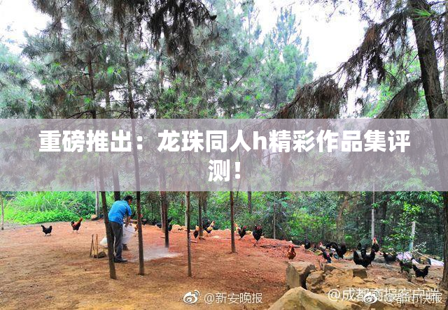 重磅推出：龙珠同人h精彩作品集评测！
