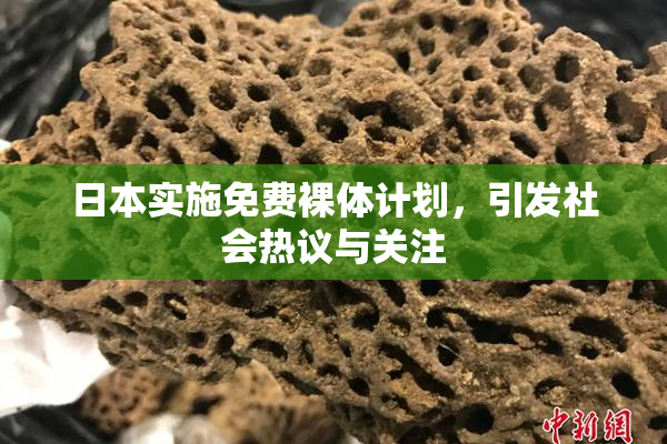 日本实施免费裸体计划，引发社会热议与关注