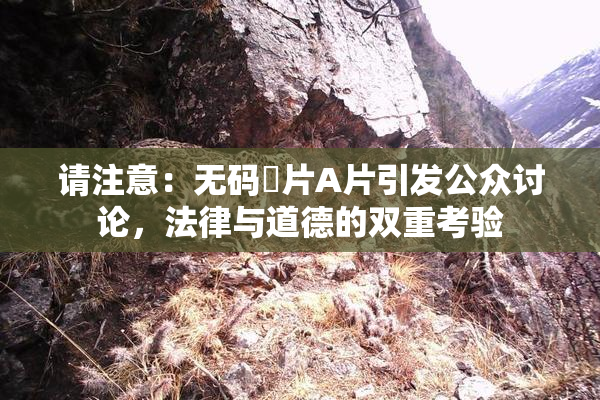 请注意：无码婬片A片引发公众讨论，法律与道德的双重考验