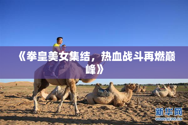《拳皇美女集结，热血战斗再燃巅峰》