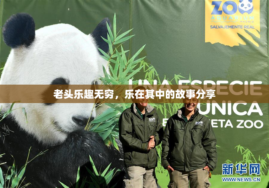 老头乐趣无穷，乐在其中的故事分享