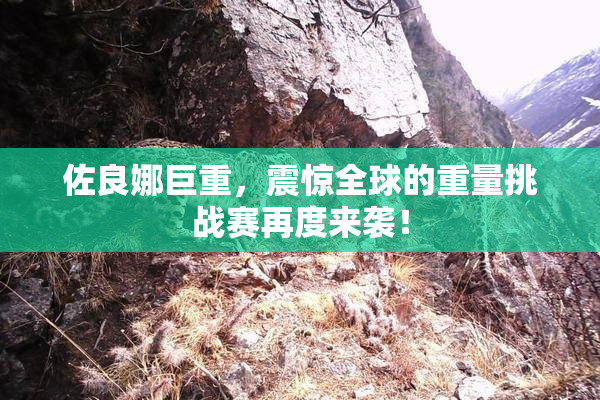 佐良娜巨重，震惊全球的重量挑战赛再度来袭！