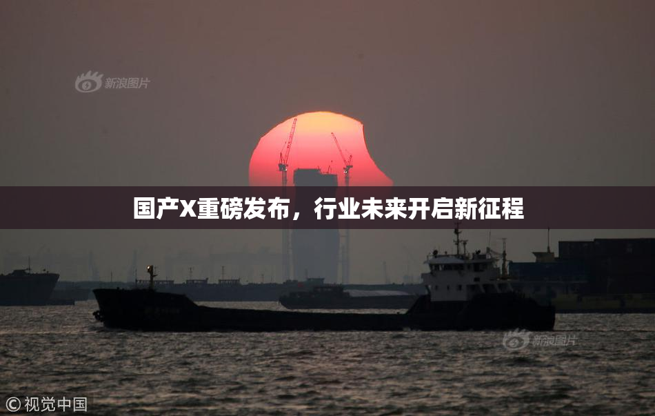 国产X重磅发布，行业未来开启新征程