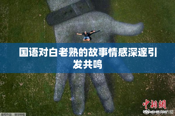 国语对白老熟的故事情感深邃引发共鸣