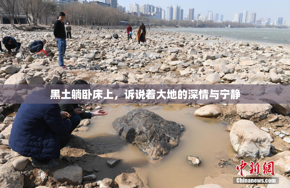 黑土躺卧床上，诉说着大地的深情与宁静