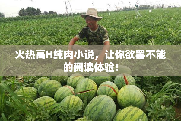 火热高H纯肉小说，让你欲罢不能的阅读体验！