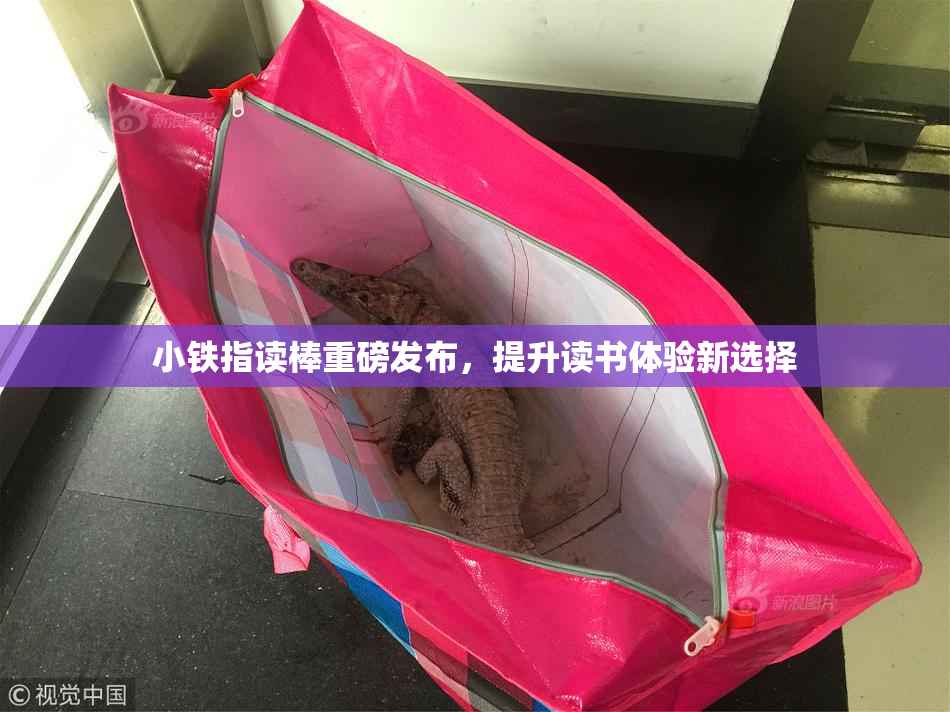 小铁指读棒重磅发布，提升读书体验新选择