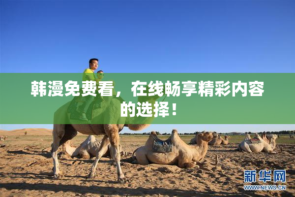 韩漫免费看，在线畅享精彩内容的选择！