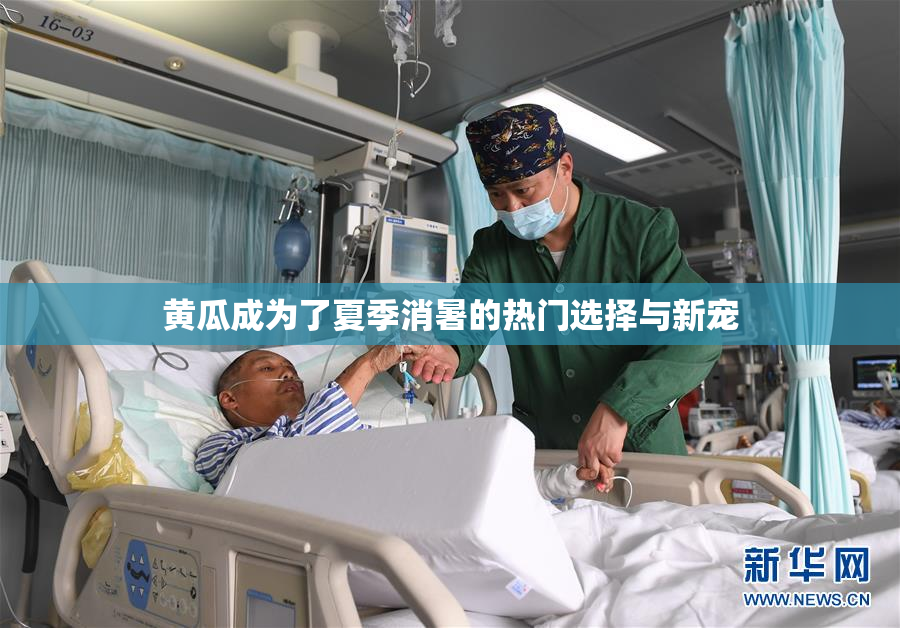 黄瓜成为了夏季消暑的热门选择与新宠