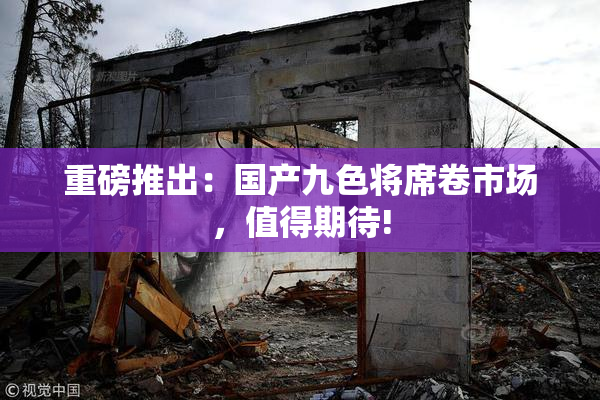 重磅推出：国产九色将席卷市场，值得期待!
