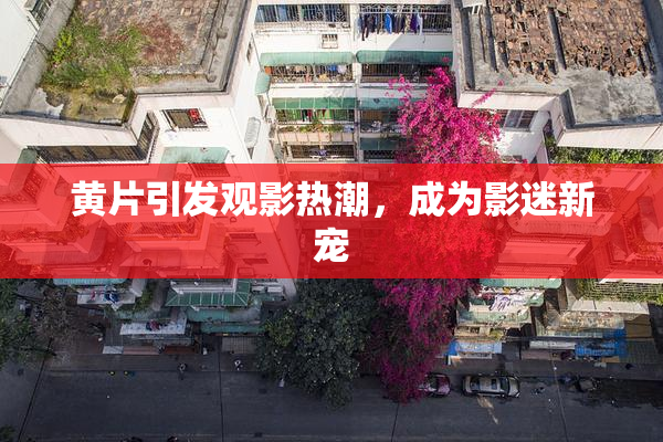 黄片引发观影热潮，成为影迷新宠