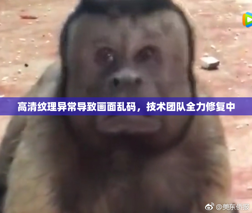 高清纹理异常导致画面乱码，技术团队全力修复中