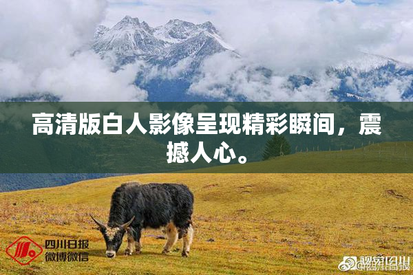 高清版白人影像呈现精彩瞬间，震撼人心。