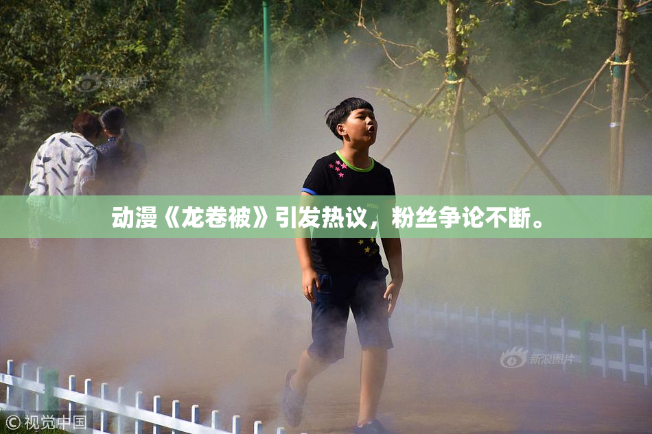 动漫《龙卷被》引发热议，粉丝争论不断。
