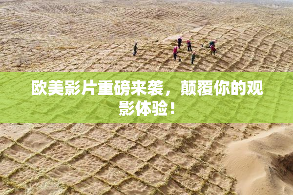 欧美影片重磅来袭，颠覆你的观影体验！