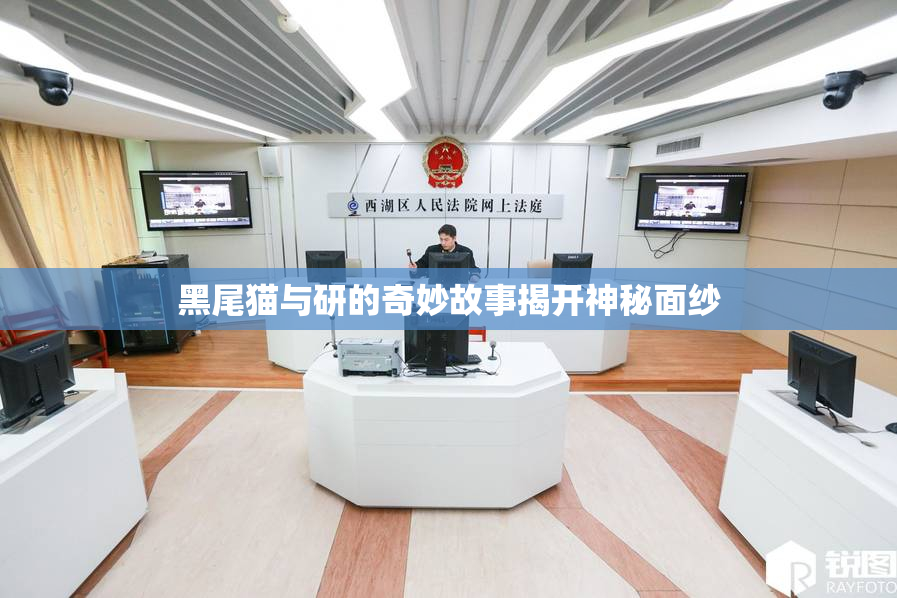 黑尾猫与研的奇妙故事揭开神秘面纱