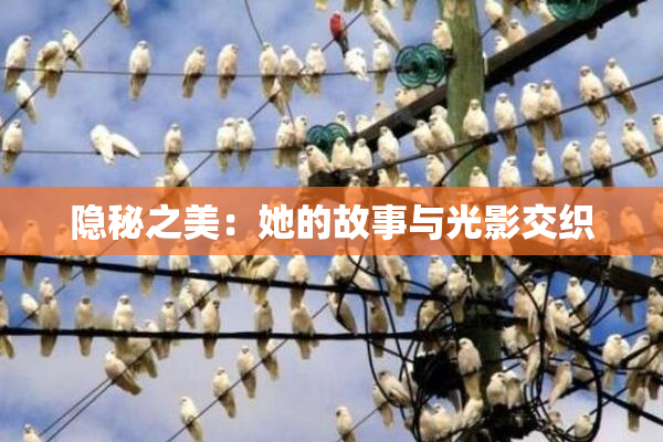 隐秘之美：她的故事与光影交织