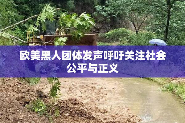 欧美黑人团体发声呼吁关注社会公平与正义