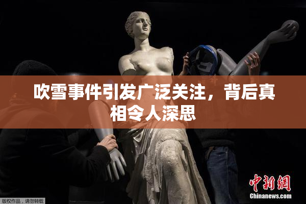 吹雪事件引发广泛关注，背后真相令人深思