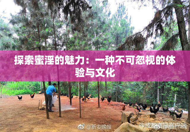 探索蜜淫的魅力：一种不可忽视的体验与文化