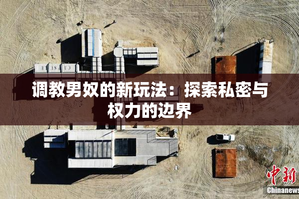 调教男奴的新玩法：探索私密与权力的边界
