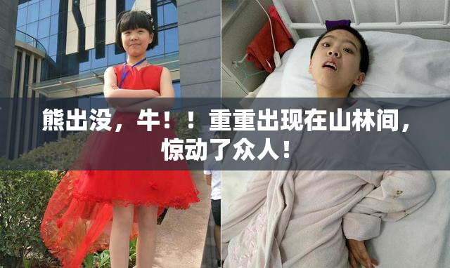 熊出没，牛！！重重出现在山林间，惊动了众人！