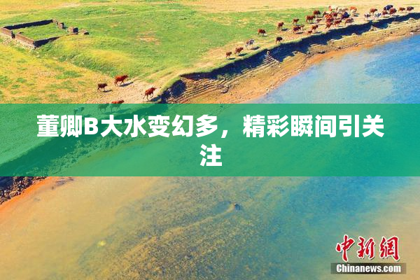董卿B大水变幻多，精彩瞬间引关注