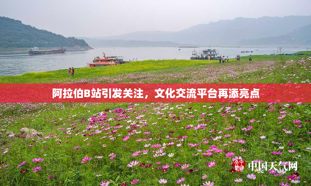 阿拉伯B站引发关注，文化交流平台再添亮点