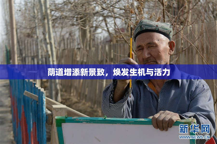 荫道增添新景致，焕发生机与活力