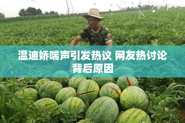 温迪娇喘声引发热议 网友热讨论背后原因
