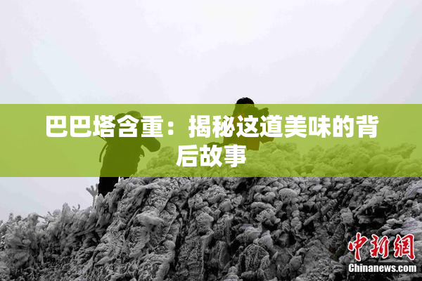 巴巴塔含重：揭秘这道美味的背后故事